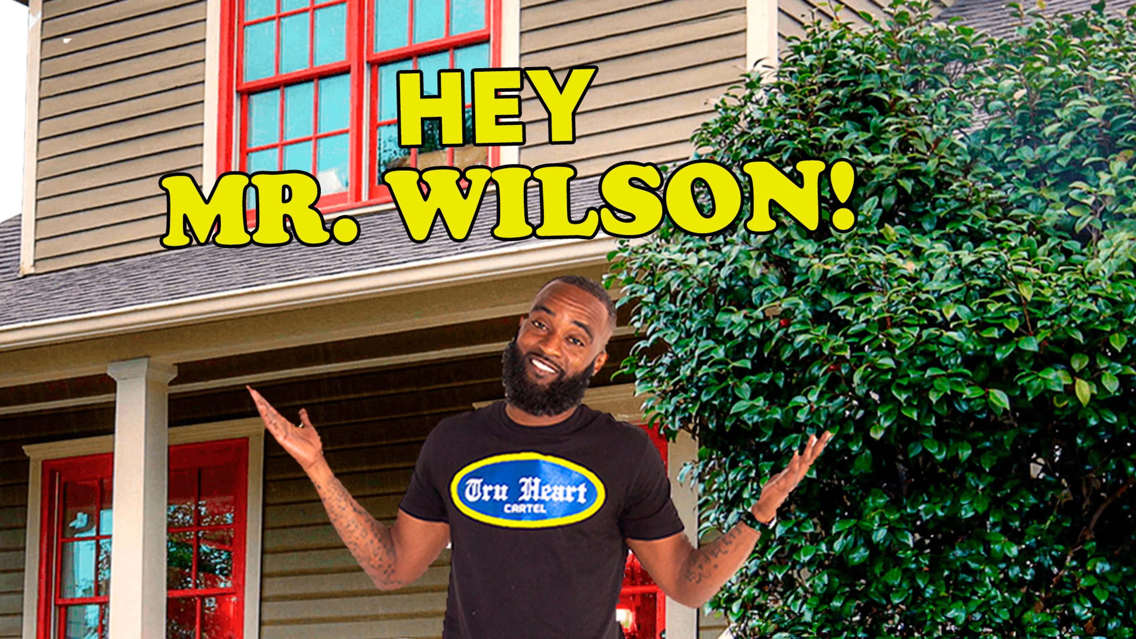 Hey Mr. Wilson! poster
